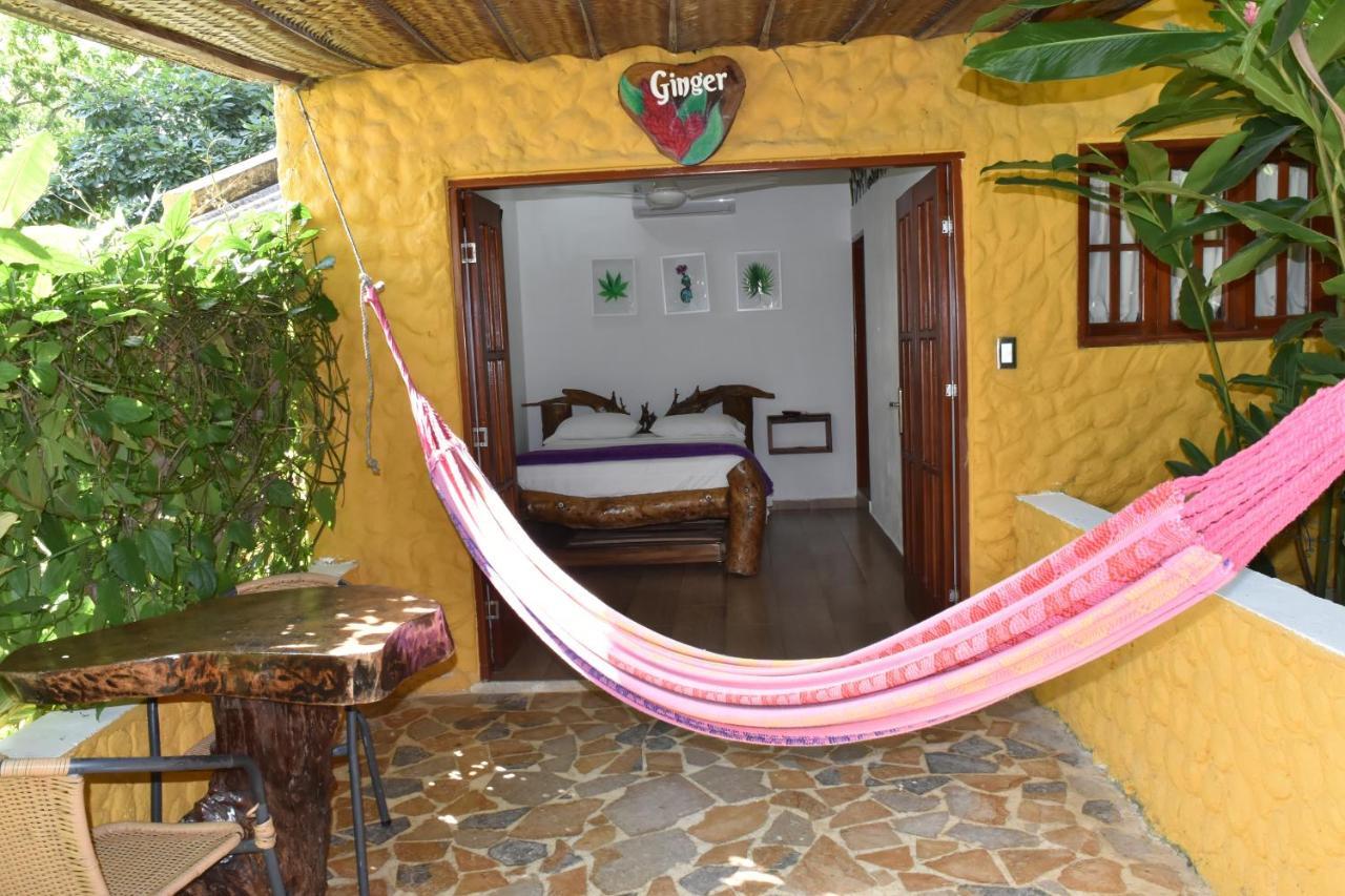 Eco Hostal Kuima El Zaino Exteriör bild